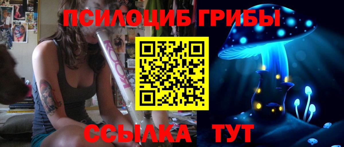 Псилоцибиновые грибы GOLDEN TEACHER  Вход с VPN  закладка  Муром  Псилоцибиновые грибы Psilocybe 